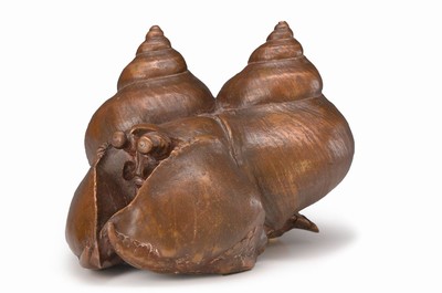 Gernot Rumpf, geb. 1941 Kaiserslautern , Einsiedlerkrebs im Schneckenhaus, Bronzeguß in der verlorenen Form, Unikat, ca. 30x23x27 cm