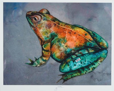 Bruno Bruni, geb. 1935 Gradara, Frosch, Druck, handsigniert, ca. 34x44cm, PP, u.Gl., R. ca. 51x71cm