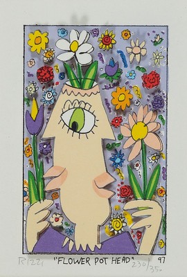 James Rizzi, 1950-2011, 3D Konstruktion, Titel: Flower Pot head, sign., num. 230/350, unter Glas gerahmt, Motiv ca. 10x6,5 cm gesamt ca. 30x26 cm