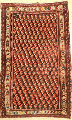 Shirwan datiert 1920, Kaukasus, Wolle auf Baumwolle, ca. 174 x 110 cm, EHZ: 3-4