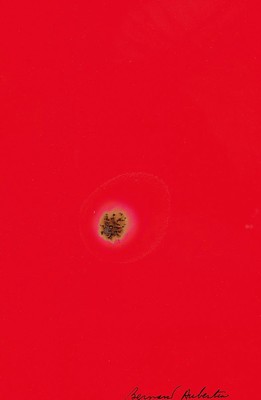 Bernard Aubertin, 1934-2015, Brand auf Karton, handsigniert, Feuerblume, 1968, ca. 30 x 24 cm, unter Glas, Rahmen: 42.5 x 32.3 cm