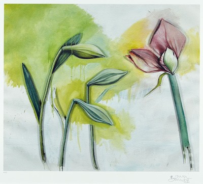 Bruno Bruni, geb. 1930 Gradara, Amaryllis, dreidimensionale Farblithographie, num. 9/25, handsigniert, ca. 42x50cm, PP, u.Gl., R. ca. 82x62cm