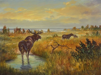 Arthur Volkmann, 1851 Leipzig-1941 Geislingen, Studium an den Akademien Dresden und Berlin, hier: Elche in weiter Moorlandschaft, Öl/Lwd, rechts ...