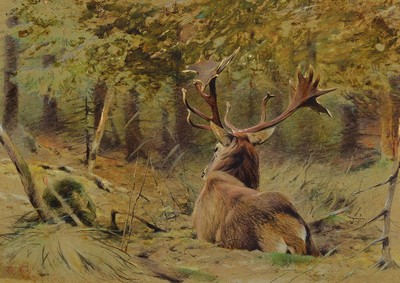 Richard Friese, 1854 Gumbinnen-1918 Bad Zwischenahn, liegender Rothirsch im Wald, Öl, Gouache und Kreide auf Malkarton, links unten signiert und ...