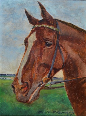 Albin Tippmann, 1871 Wurzen/Sachsen-1952, Studium an der Akademie München als Schüler von Heinrich von Zügel, hier: Pferdeporträt, Öl/Malkarton, ...