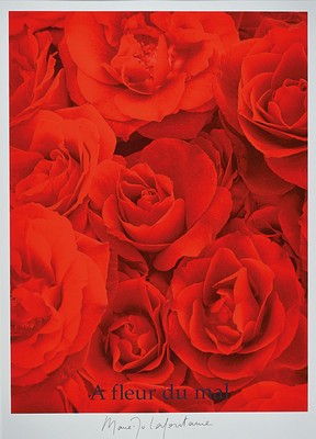 Marie-Jo Lafontaine, geb. 1950, Farbsiebdruck auf Karton, " A fleur du mal" aus 1999, handsigniert, ca. 92 x 72 cm unter Glas, Rahmen 107 x ...