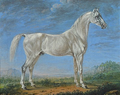 Johann Friedrich Steinkopf, 1737 Oppenheim - 1825 Stuttgart, stehender Schimmel, Öl/Lwd, re. unten Ritzsignatur und dat. 1823, doubliert und rest., ...