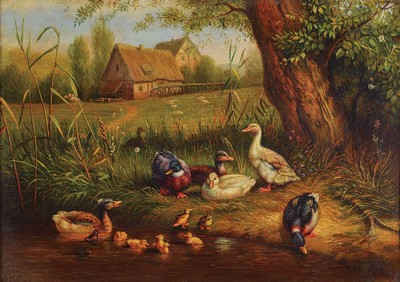 Monogrammist CJ, 2. Hälfte 19. Jh., Enten am Ufer, im Hintergrund ein Bauernhaus, Öl/Lwd, rechts unten monogr., ca. 39x54cm, R. ca. 50x66cm