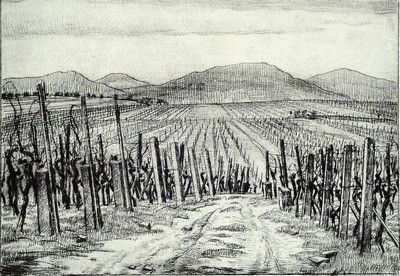 Werner Brand, geb. 1933, Mappe "Wein+Reben" mit 6 Radierungen, alle handsigniert und num. 2/30, betitelt: Wingert, Der Rebstock, ...