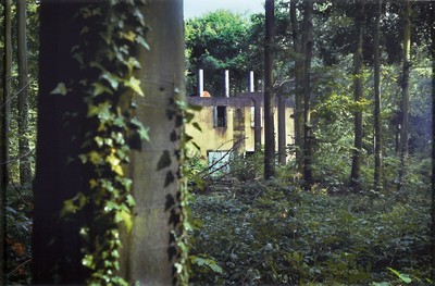 Peter Doig, geb. 1959, ohne Titel, Waldlandschaft mit Bauruine, Farbdigitaldruck auf PE-Papier/Hartschaumplatte aufgezogen, rückseitig handsigniert ...
