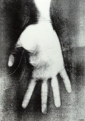 Rosemarie Trockel, geb. 1952, Projekt Flagge zeigen, 1994, Siebdruck, num. 21/35, handsigniert und dat., 84 x 59.5 cm, Rahmen ca. 108 x 77 cm