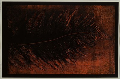 Rudolf Hausner, 1914-1995, " Monotypie ", Farnblatt, handsign., unter Glas gerahmt, Motiv ca. 47x30, gesamt ca. 61x45 cm