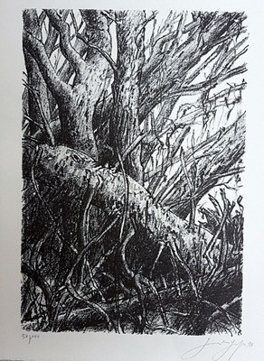 Mappe: zwei mal drei, mit 6 Grafiken versch. Künstler, Lithografien von Dieter Goltsche, Ronald Paris, Rainer schwarz, Radierung von Günter Grass, ...