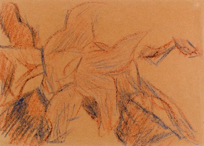 Christian Rohlfs, 1849 - 1938, Farbkreide auf bräunlichen Papier, Blattgr. 25 x 35 cm, verso unten re. Nachlassstempel, sowie darunter Bestätigung ...