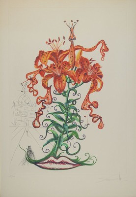 Salvador Dali, 1904-1989, Surrealistic Flowers, 1972, Kaltnadelradierungauf Heliogravure, "Lilium aurancacium et labra barocantia", Atelier ...