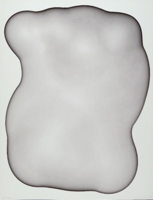 Peter Kogler, geb. 1959, organische Form, Farbserigraphie, aus 1998 handsigniert und dat. 98, num. E.A. 9/20, Blattmaß ca. 65 x 50 cm, Rahmen: 93.7 ...