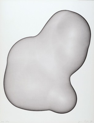 Peter Kogler, geb. 1959, organische Form, Farbserigraphie, aus 1998 handsigniert und dat. 98, num. E.A. 9/20, Blattmaß ca. 65 x 50 cm, Rahmen: 93.7 ...