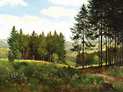 Ernst Frommhold, 1879-1955, Studium an der Akademie Leipzig, Waldlandschaft, Öl/Lwd, links unten signiert, ca. 60x80cm, R. ca. 71x 91cm