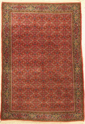 Bidjar fein, Persien, ca. 60 Jahre, Korkwolle, ca. 165 x 116 cm, EHZ: 2