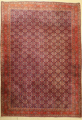 Bidjar Kork alt, Persien, ca. 60 Jahre, Korkwolle, ca. 355 x 250 cm, EHZ: 2, (minimaler Mottenfraß im Eck)