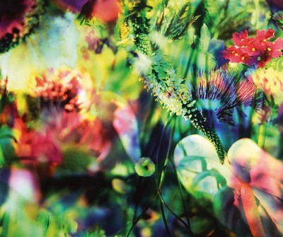 Marie-Jo Lafontaine, geb. 1950, Lost Paradise 2003, rückseitig handsigniert, betitelt und num. 59/100, Hochglanz- Fotografie 90 x 76.5 cm, Rahmen ...