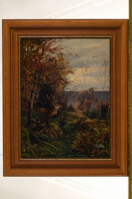 Unbekannter Künstler, um 1900, Hirsch am Waldrand, Öl/Lwd, qualitätvolle detailreiche Malerei, ca. 40x30cm, R. ca. 50x40cm
