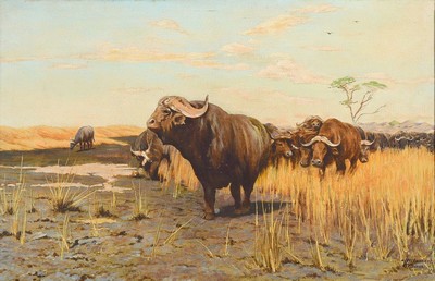 Kopie nach Wilhelm Kuhnert, (1865-1926) von O.Klemm, Afrikanische Büffel, Öl/Lwd, links unten signiert: n. W. Kuhnert O.Klemm, ca. 35x55cm, R. ca. ...