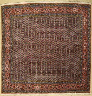 Ardebil alt, Persien, ca. 50 Jahre, Wolle auf Baumwolle, ca. 245 x 245 cm, EHZ: 2