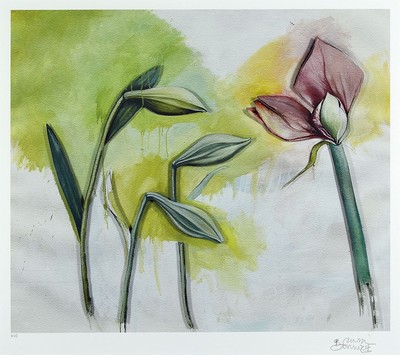 Bruno Bruni, geb. 1935 Gradara/Italien, Amaryllis, dreidimensionale Farblithographie, num. 9/25, handsigniert, ca. 42x50cm, PP, u.Gl., R. ca. 82x62cm