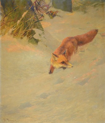 Karl Hans Taeger, 1856 Neustadt/Sachsen- 1937 Langebrück/Dresden, Darstellung eines Fuchs in Winterlandschaft, Öl/Lwd, mittig mit kleinen ...