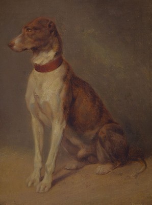 Unbekannter Maler des 19. Jh., sitzender Hund, feine detaillierte Malerei, Öl/Hartfaserplatte, ca. 28x20cm, R. ca. 40x33cm