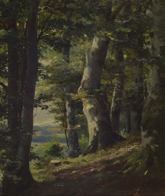 Unbekannter Künstler, deutsch, um 1900-10, Waldinneres, Öl/Malkarton, ca. 41x34cm, R. ca. 51x44cm