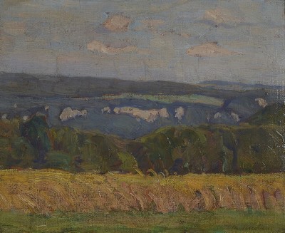 Martin Nicolaus, 1870 - 1945, sommerliche Landschaft wohl auf der schwäbischen Alb, rechts unten signiert, Öl/Lwd/Holz, rest., R. ca. 31x38 / 45x53 ...