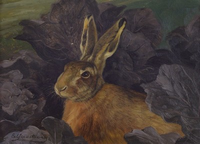 Carl Zimmermann, 1864 Halberstadt-1930 Goslar, Hase, Öl/Holz, links unten signiert, ca. 25x35cm, R. ca. 32x42cm
