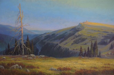 Arnold Lyongrün, 1871 Domnau-1935 Hamburg, Weite Landschaft im Schwarzwald mit Blick auf den Feldberg, Öl/Lwd, rechts unten sign., ca. 73x108cm, R. ...