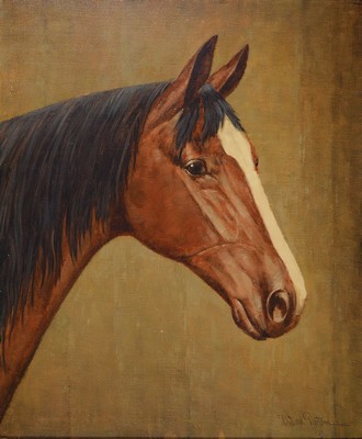 Heinz Werner van der Porten, geb. 1930 Düsseldorf, Pferdeporträt, Öl/Lwd, rechts unten signiert, ca. 60x50cm, R. ca. 76x66cm