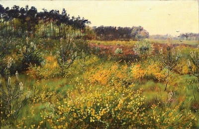 H. Hoffmann, wohl Hubert Hoffmann, 1904-1999, Heidelandschaft mit Kiefern, Öl/Lwd, links unten signiert, ca. 40x60cm, R. ca. 48x68cm