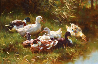 Sergio Budicin, geb. 1939, Enten am Ufer, Öl/Malkarton, links unten signiert, ca. 20x30cm, R. ca. 31x41cm