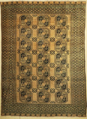 Ersari alt, Afghanistan, um 1950, Wolle aufWolle, ca. 350 x 260 cm, EHZ: 3