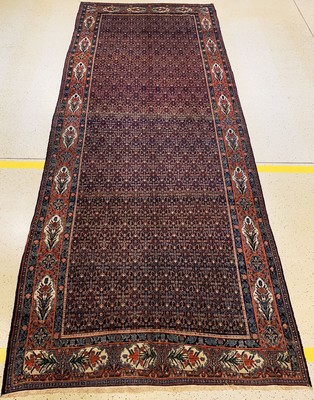 Antiker Senneh Kelley, Persien, um 1910, Wolle auf Baumwolle, ca. 586 x 226 cm, EHZ: 2-3