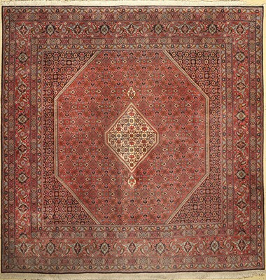 Bidjar, Persien, ca. 40 Jahre, Wolle auf Baumwolle, ca. 250 x 250 cm, verblasst, EHZ: 2