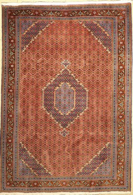 Ardebil, Persien, ca. 50 Jahre, Wolle auf Baumwolle, ca. 290 x 203 cm, EHZ: 2