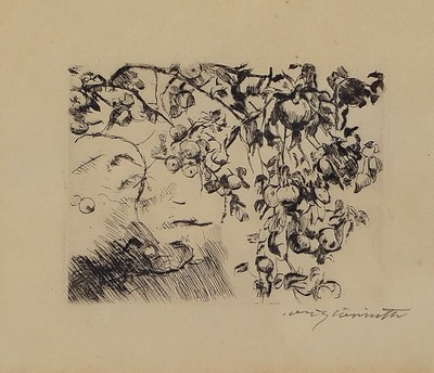 Lovis Corinth, 1858-1925, Apfelzweige, Radierung von 1916, handsigniert, ca. 9x11.8cm, PP, u.Gl., R. ca. 54x44cm