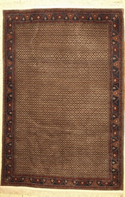 Koliai Muster, Afghanistan, ca. 50 Jahre, Wolle auf Wolle, ca. 300 x 197 cm, EHZ: 2