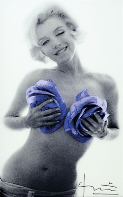 Bert Stern, 1929 - 2013, Fotografie auf dickem matten Fotopapier, Titel: "Marylin purple wink roses", Drucktechnik: hochwertiger ...
