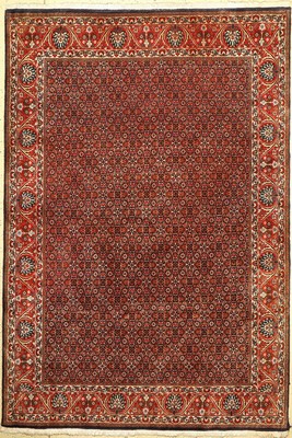 Bidjar fein, Persien, ca. 40 Jahre, Korkwolle, ca. 295 x 200 cm, EHZ: 2