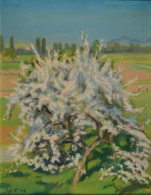 Hermann Croissant, 1897 - 1963, "Apfelbaum", in voller Blüte, Öl/Malkarton, rückseitig betitelt und dat. 49 und bezeichnet, li. u. ...