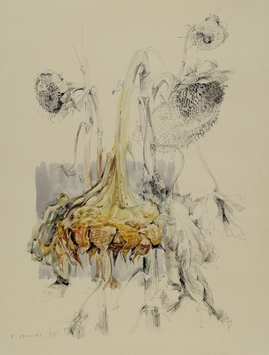 Werner Brand, 1933 Löbau-2021 Hochstadt, Sonnenblumen, Aquarell über Bleistift, links unten signiert und dat. 87, ca. 58x44cm, PP, u.Gl., R. ca. ...