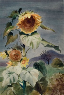 Martin Ritter, 1905 Glauchau-2001 Baldham bei München, war ansässig in Neustadt an der Weinstraße, hier: Sonnenblumen, Aquarell auf Papier, links ...