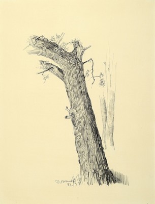 Werner Brand, 1933 Löbau-2021 Hochstadt, 2 Bleistiftzeichnungen, 1) Küstenlandschaft, sign. und dat. 78, ca. 37x50cm, PP, u.Gl., R. ca. 60x74cm, 2) ...